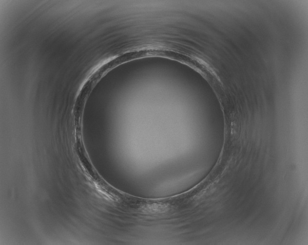 X0000060571117200511031302