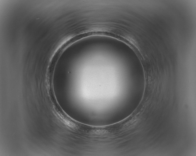 X0000060571119200511031302
