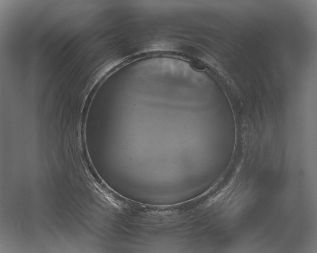 X0000060571121200511031302