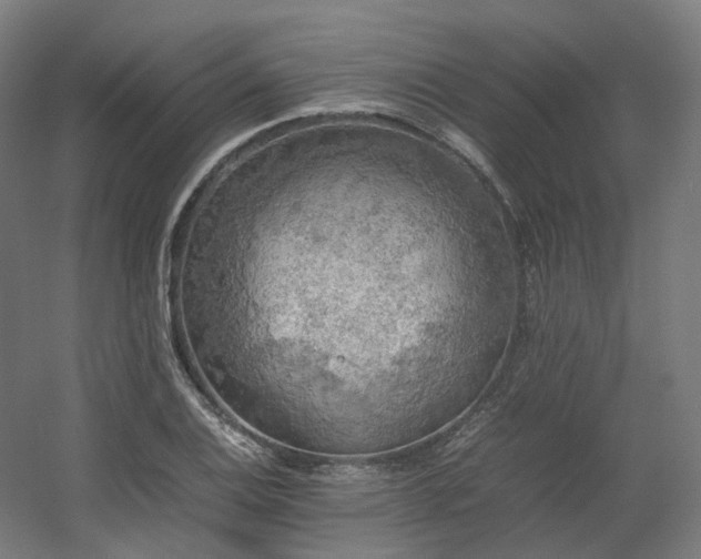X0000060571124200511031302