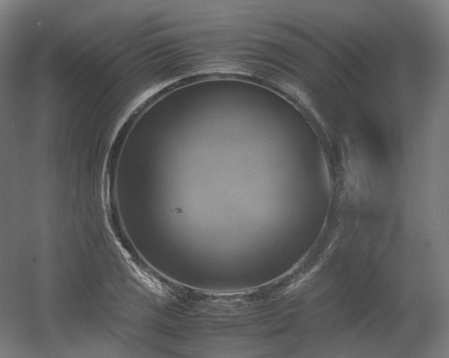 X0000060571125200511031302