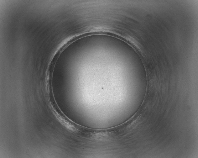 X0000060571126200511031302