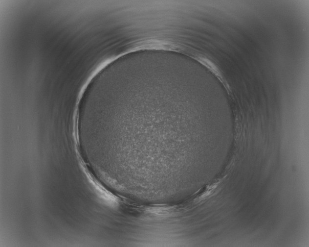 X0000060571128200511031302