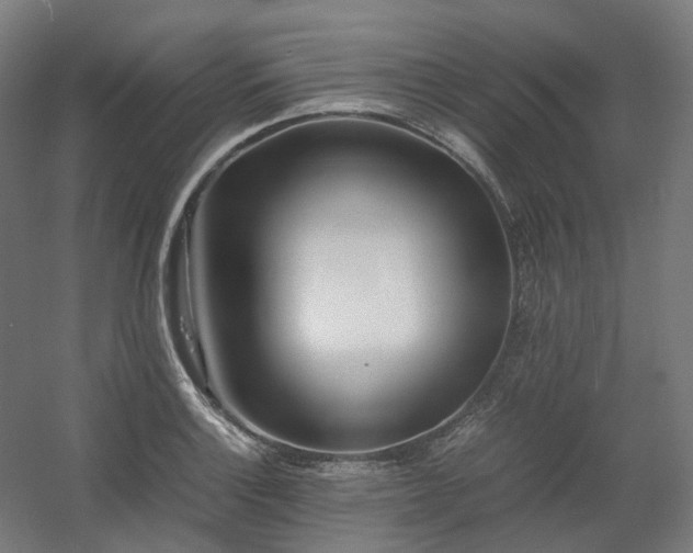 X0000060571132200511031302