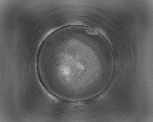 X0000060571133200511031302