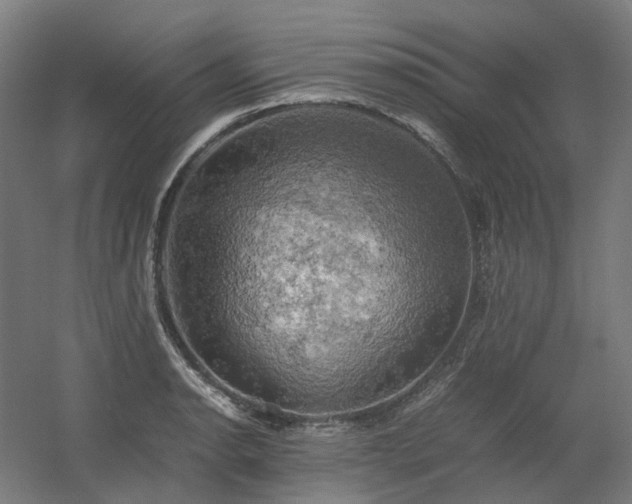 X0000060571134200511031302