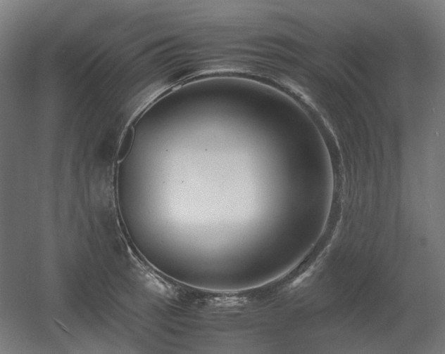X0000060571137200511031302
