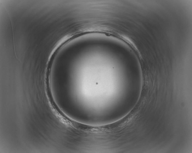 X0000060571138200511031302