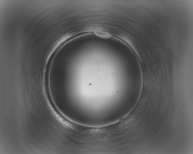 X0000060571139200511031302