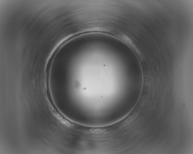 X0000060571140200511031302