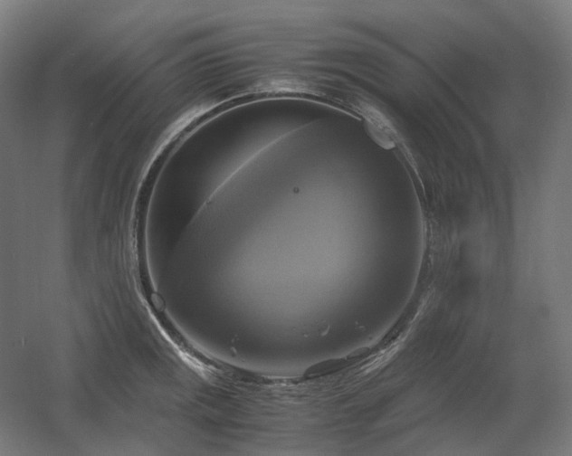 X0000060571141200511031302