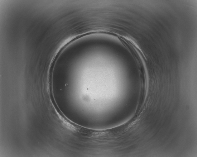 X0000060571143200511031302