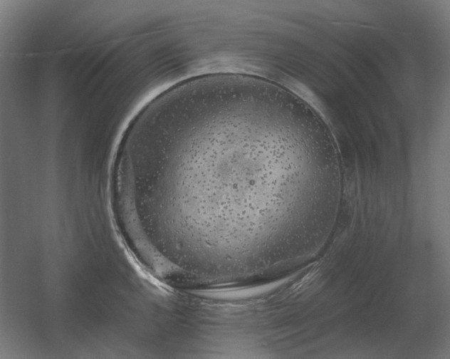 X0000060571144200511031302
