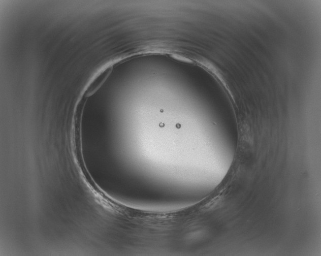X0000060571147200511031303