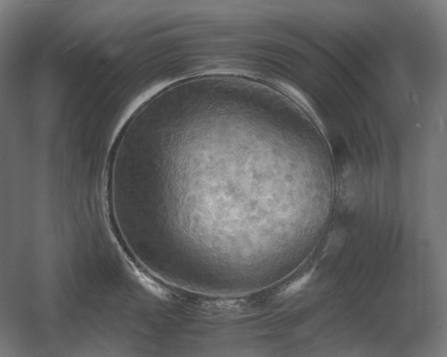 X0000060571149200511031303