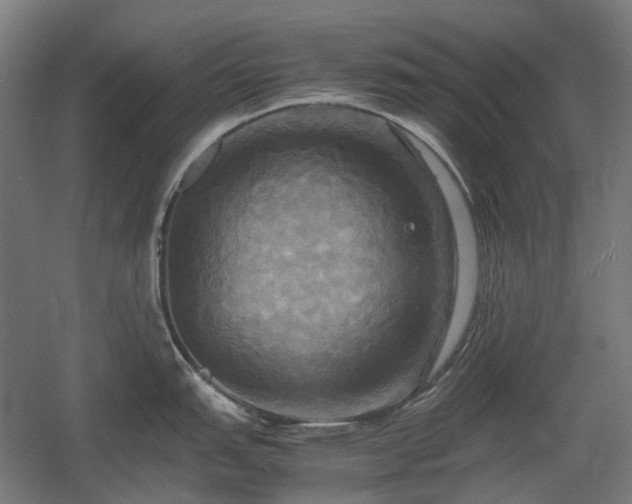 X0000060571151200511031303