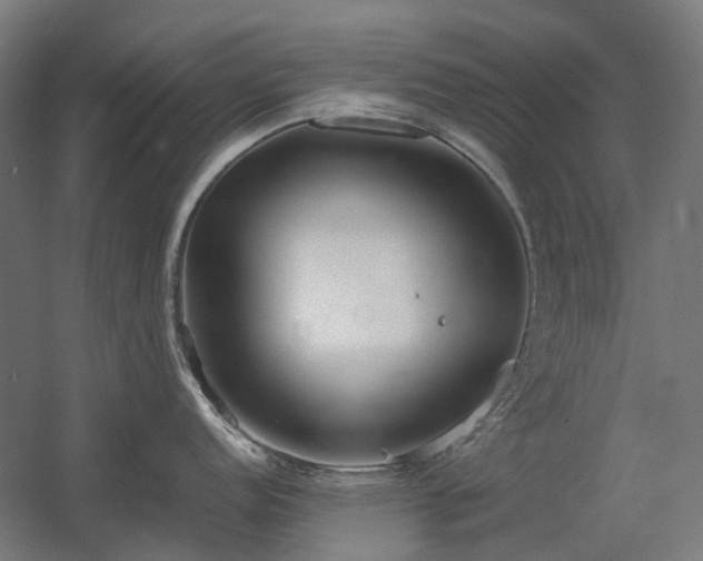 X0000060571152200511031303