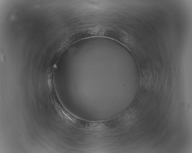 X0000060571154200511031302