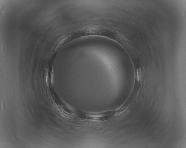X0000060571155200511031302