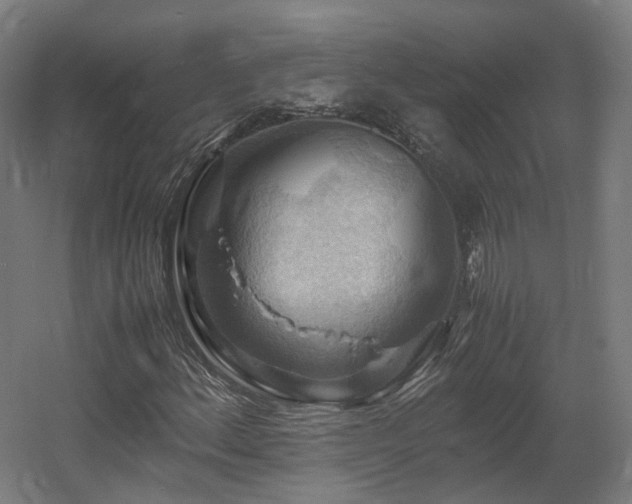 X0000060571156200511031302
