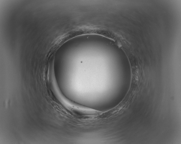 X0000060571157200511031302