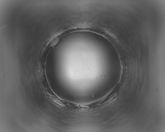 X0000060571160200511031302