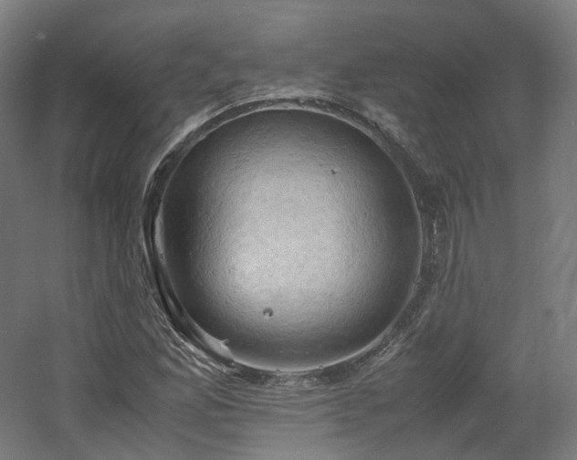 X0000060571165200511031302
