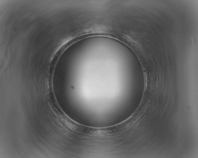 X0000060571166200511031302