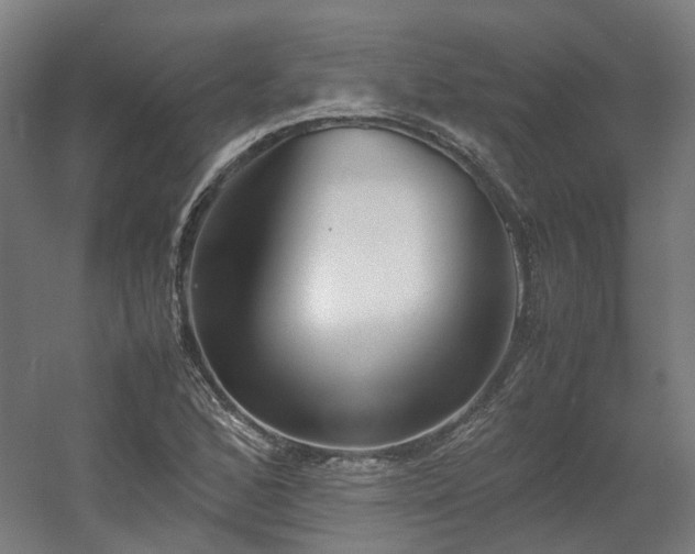 X0000060571168200511031302