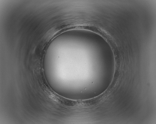 X0000060571169200511031301