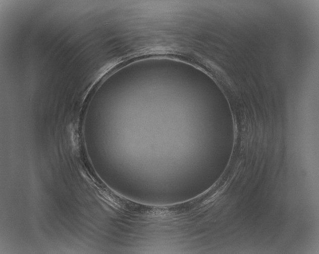 X0000060571170200511031301