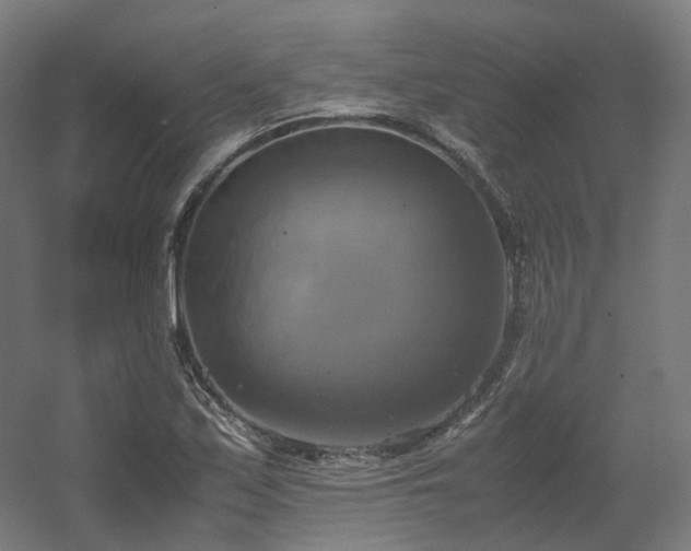 X0000060571171200511031301