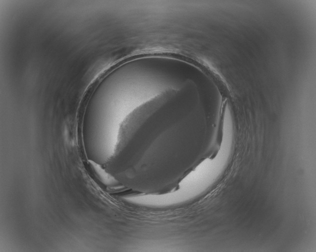 X0000060571173200511031301