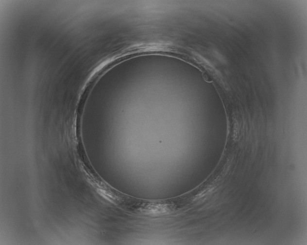 X0000060571174200511031301