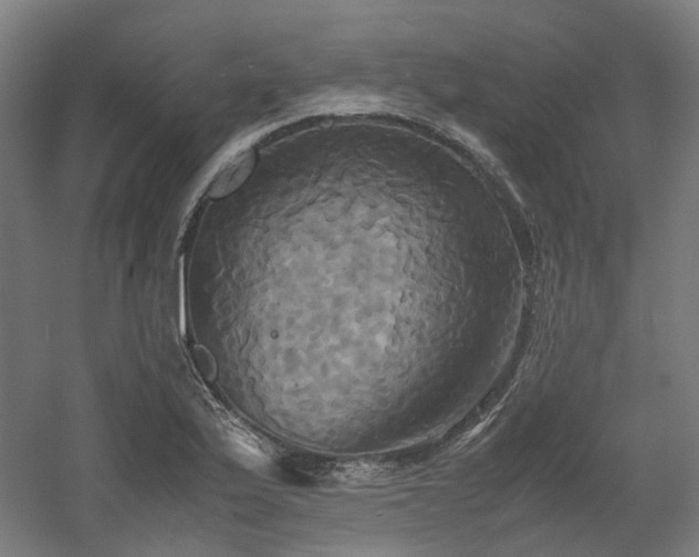 X0000060571175200511031301