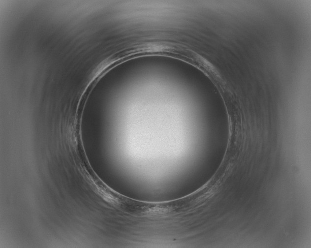 X0000060571178200511031301