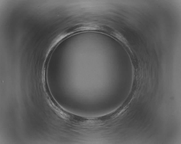 X0000060571179200511031301