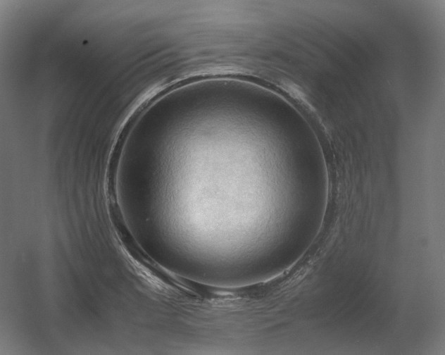 X0000060571181200511031301