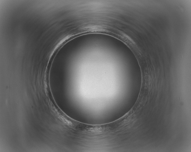 X0000060571182200511031301
