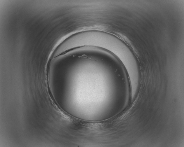 X0000060571184200511031301