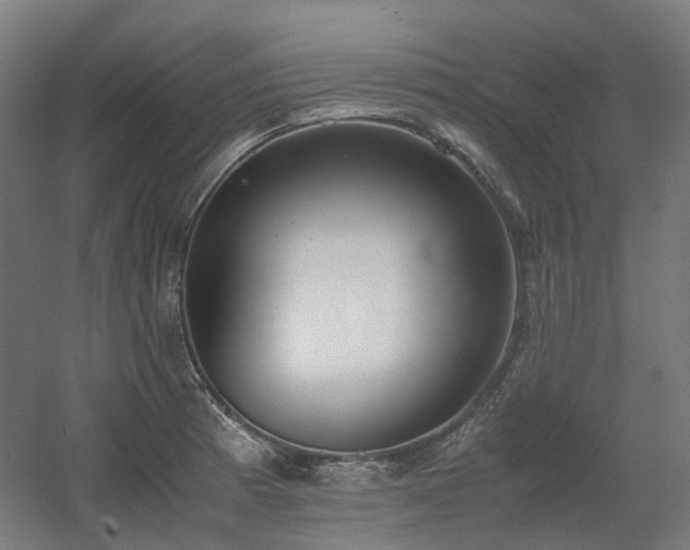 X0000060571185200511031301