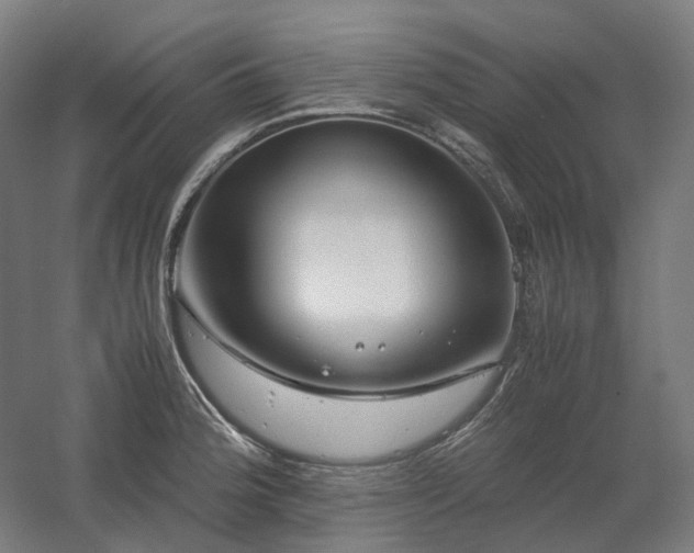 X0000060571188200511031301