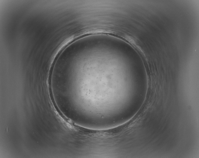 X0000060571189200511031301