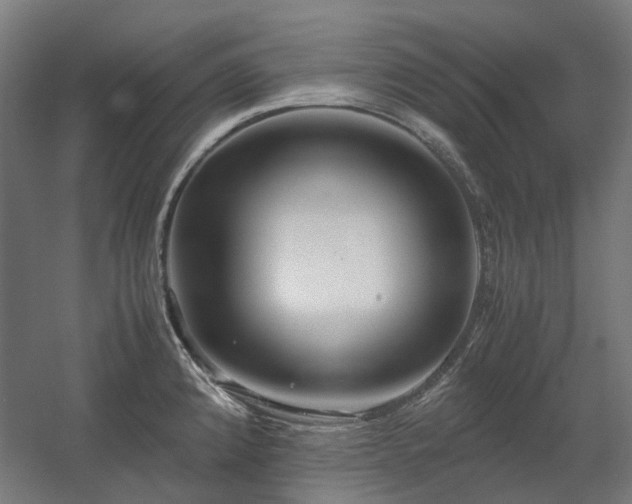 X0000060571192200511031301