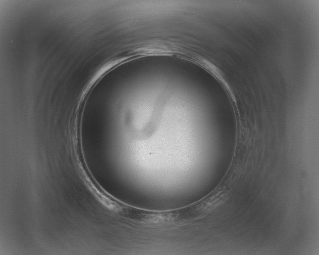 X0000060571195200511031301