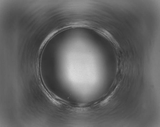 X0000060571196200511031301