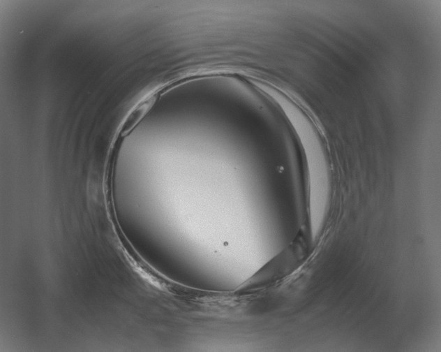 X0000060571197200511031301