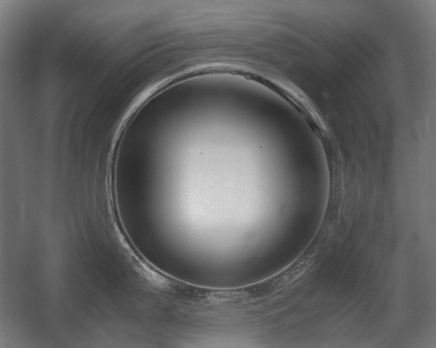 X0000060571199200511031301
