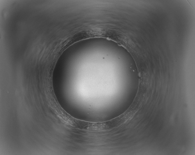 X0000060571201200511031300