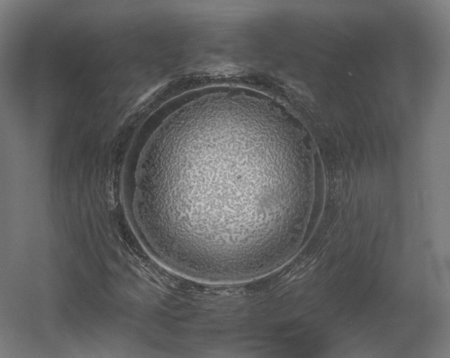 X0000060571205200511031300